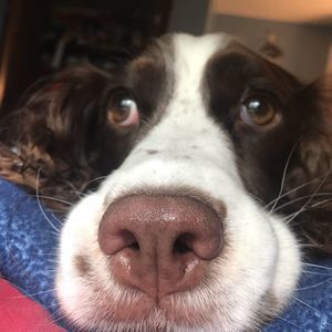 Meet your Posher, Meghan